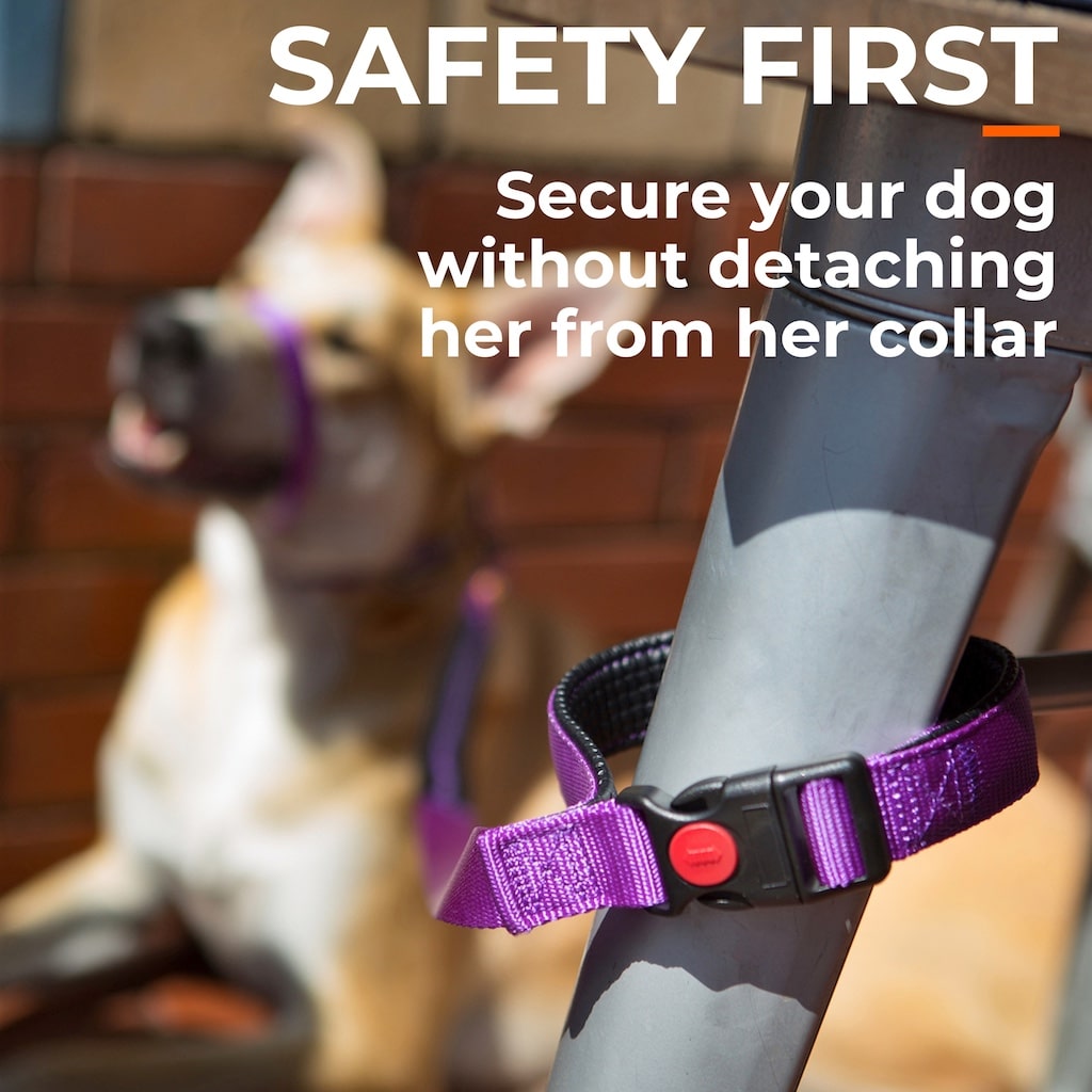 Canny CONNECT Anti-Escape Leash
