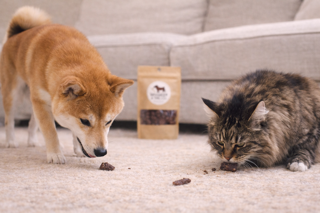 Duck Heart for Dogs & Cats | Protein-Rich Treat | Whisker & Tail Co.