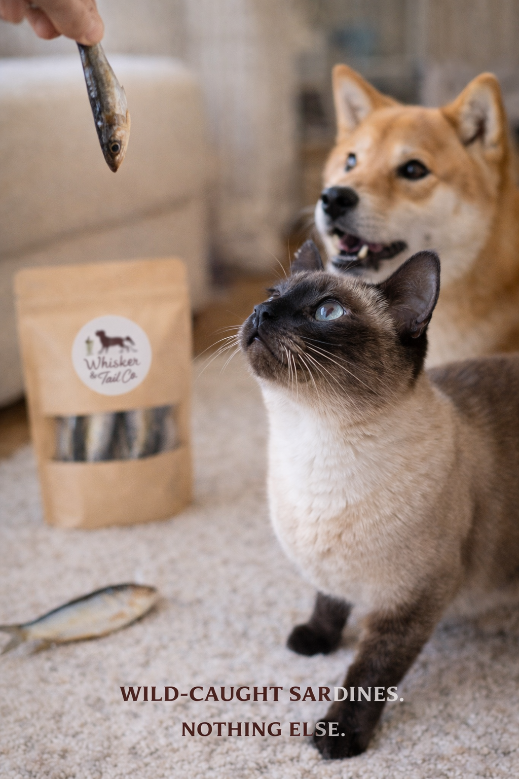 Sardines for Dogs & Cats | Omega-Rich Treat | Whisker & Tail Co.