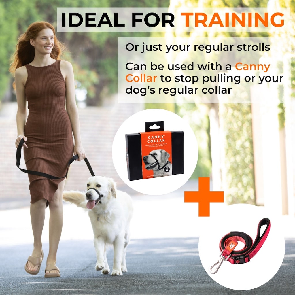 Canny CONNECT Anti-Escape Leash