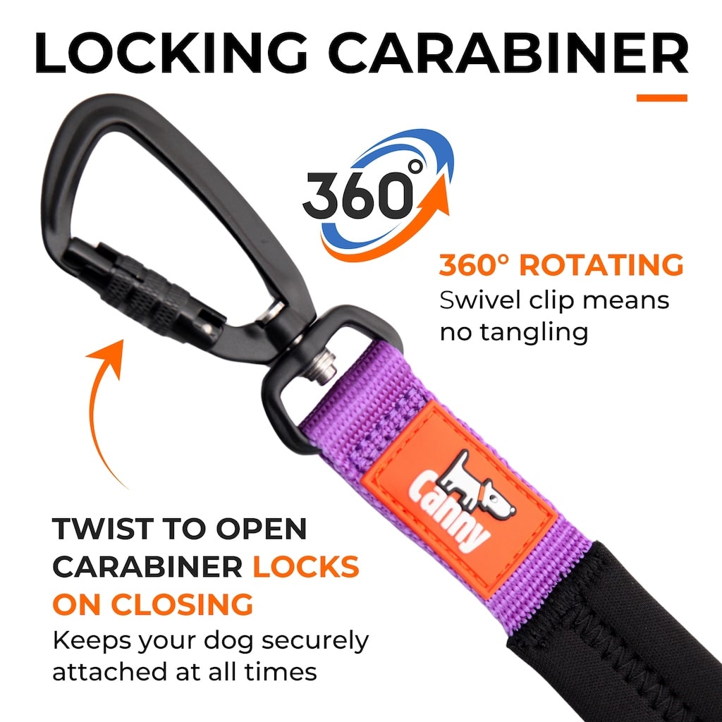 Canny CONNECT Anti-Escape Leash