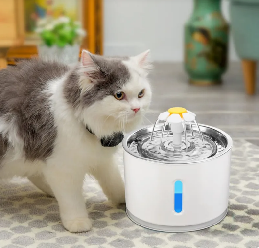 Automatic Pet Water Fountain | LED Light | Filtered | Quiet Pump | Cats & Small Dogs