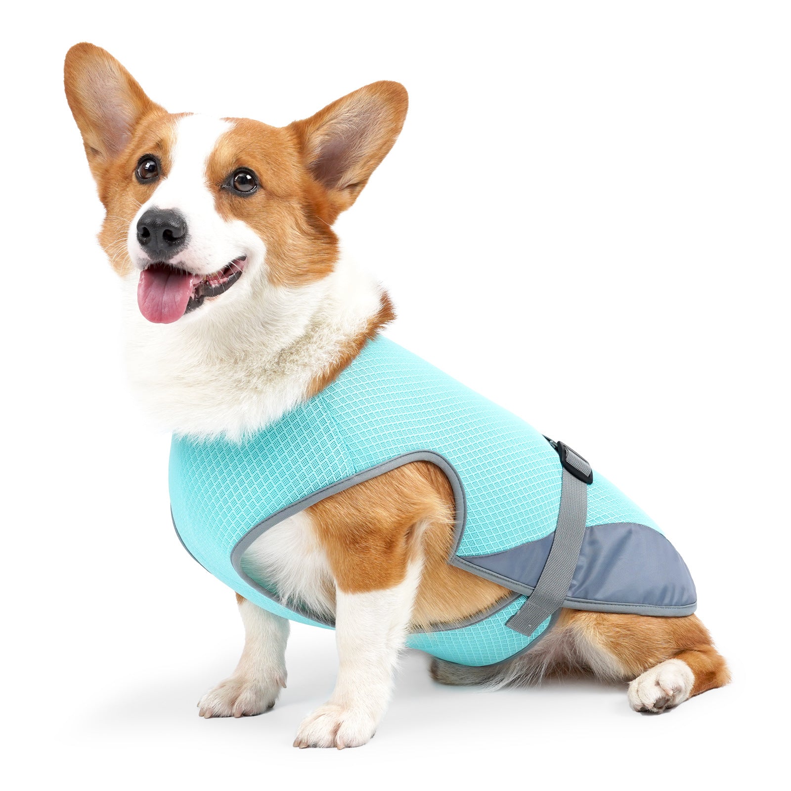 Cooling Vest for Dogs – Lightweight Summer Pet Wear