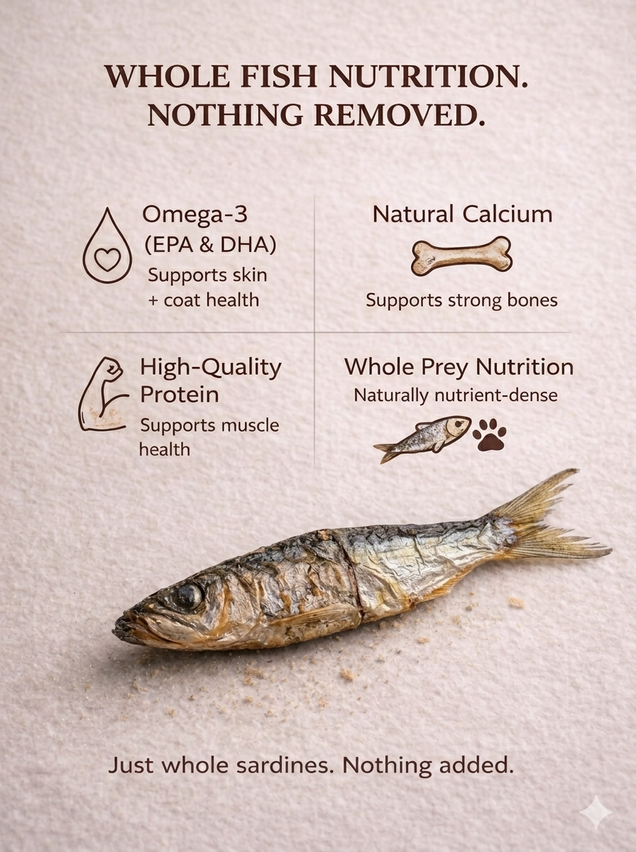 Sardines for Dogs & Cats | Omega-Rich Treat | Whisker & Tail Co.