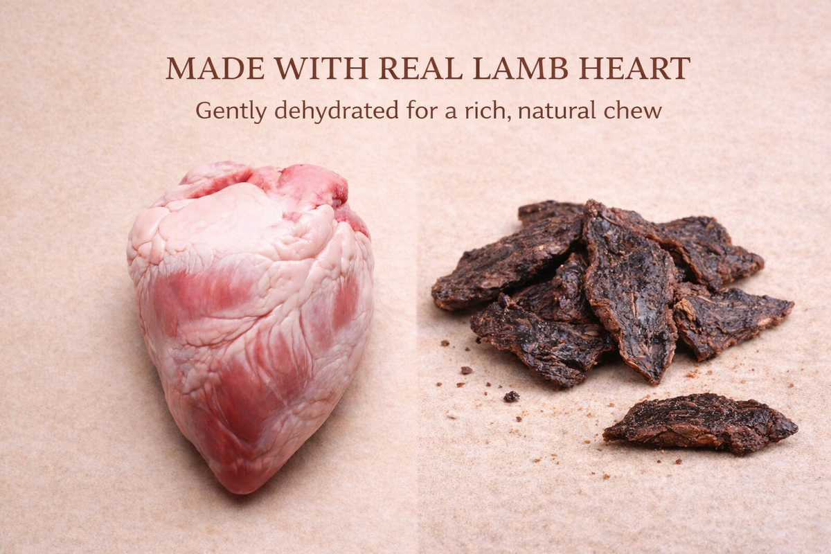 Lamb Heart for Dogs & Cats | Protein-Rich Treat | Whisker & Tail Co.