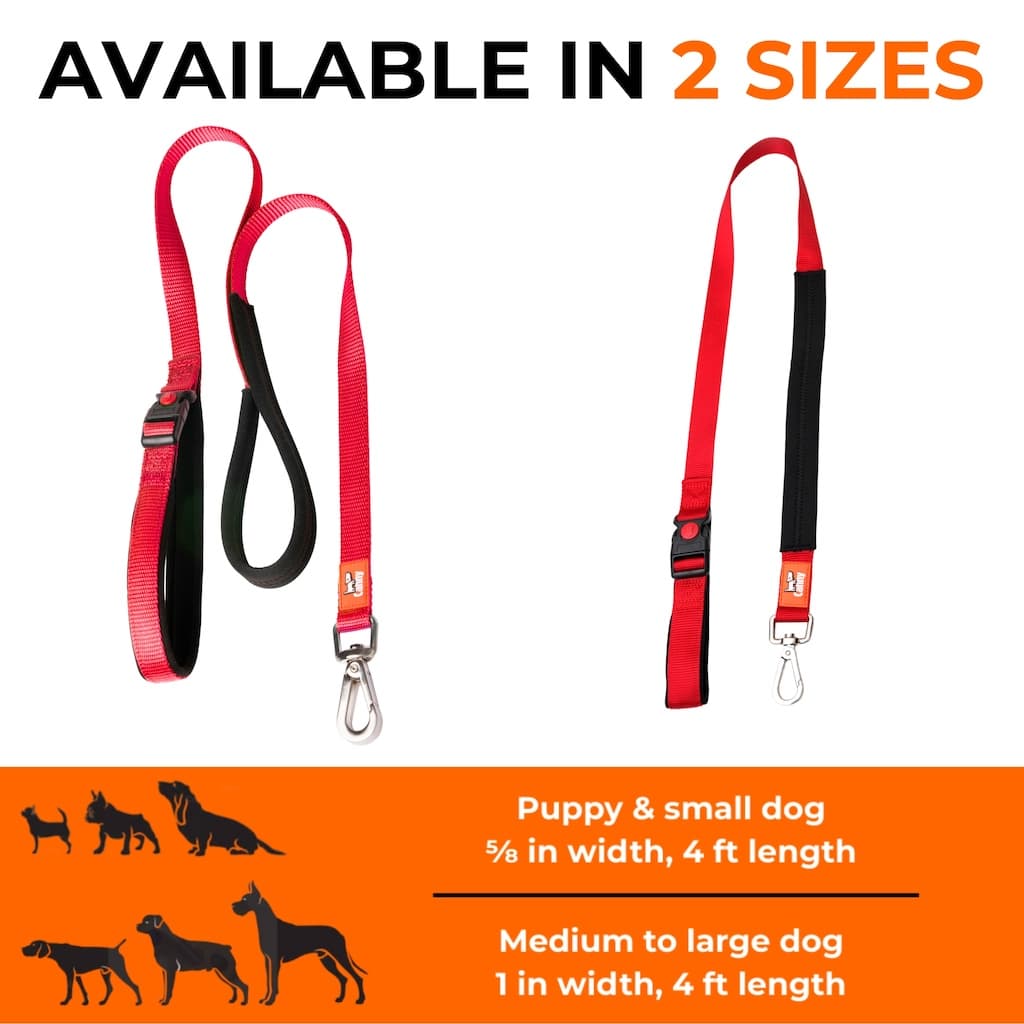 Canny CONNECT Anti-Escape Leash
