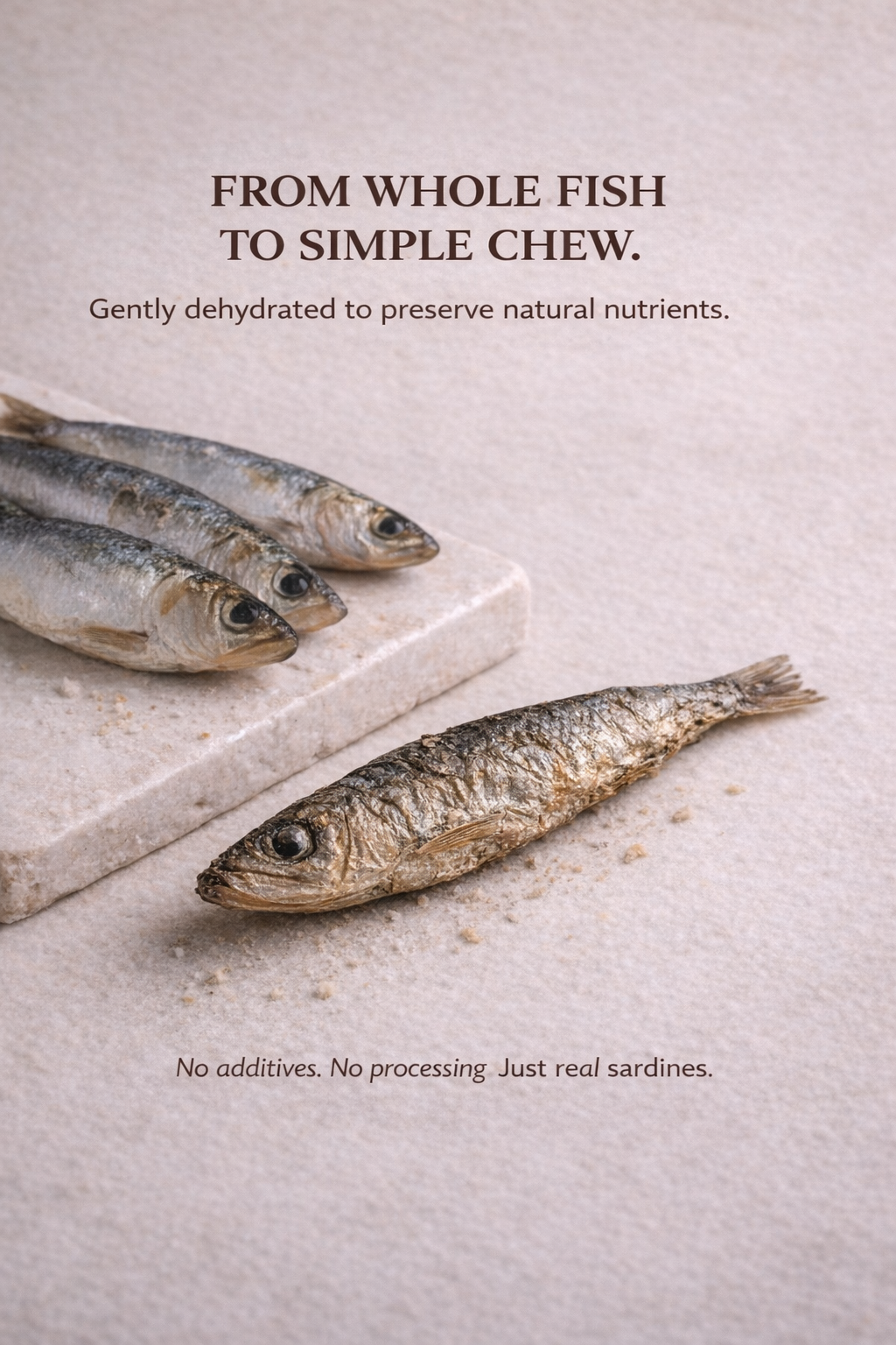 Sardines for Dogs & Cats | Omega-Rich Treat | Whisker & Tail Co.