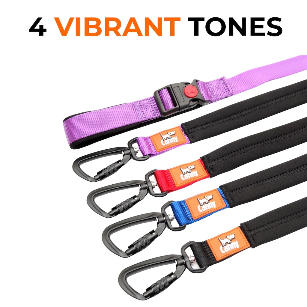 Canny CONNECT Anti-Escape Leash