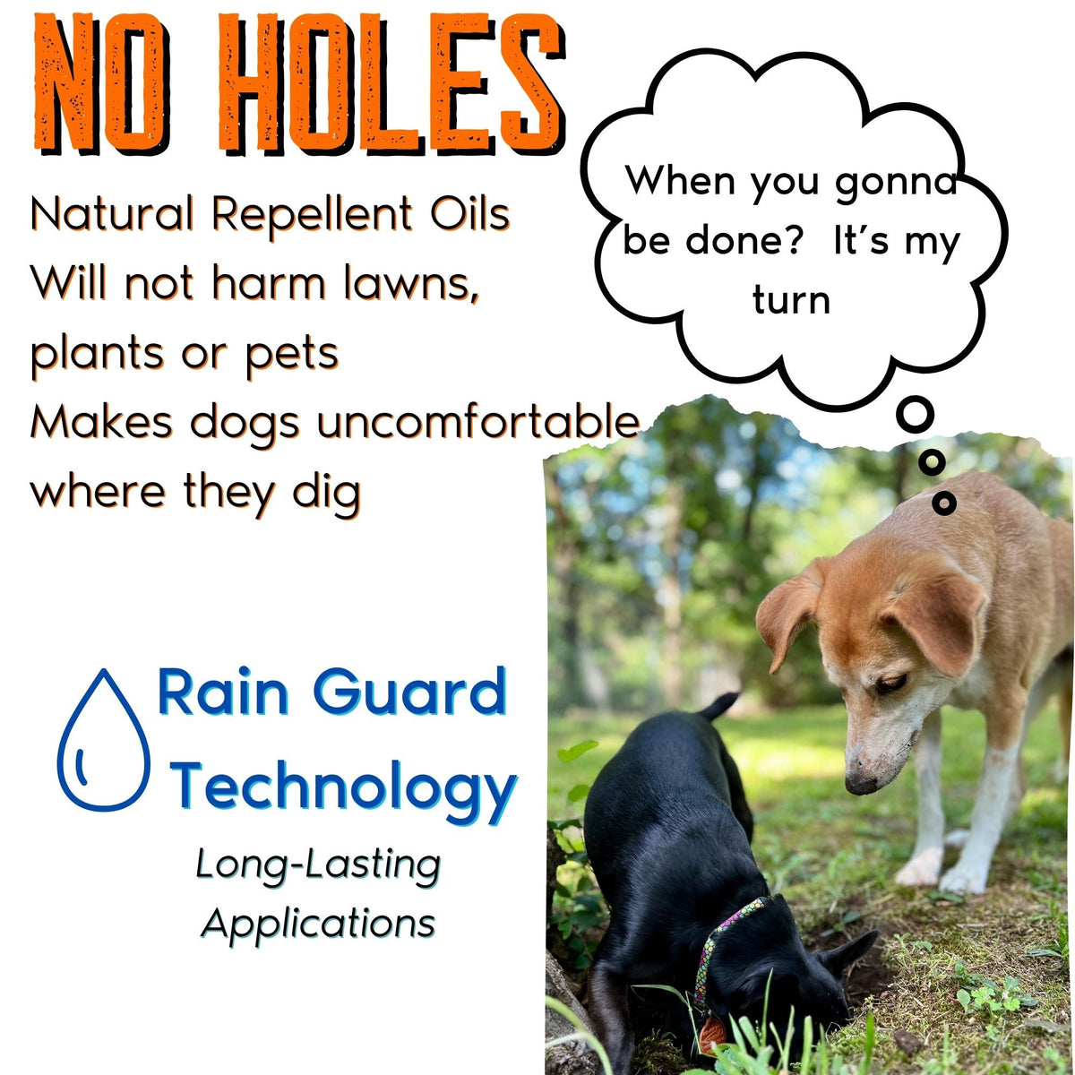 No Holes! Digging Prevention Concentrate/Gallon Trigger Sprayer