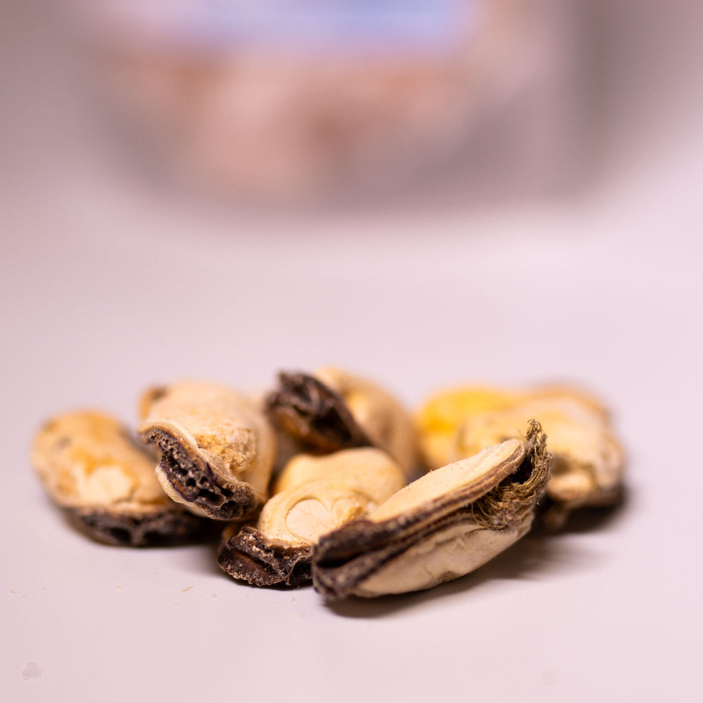 Freeze-Dried Blue-Lipped Mussels: Dog & Cat Treats