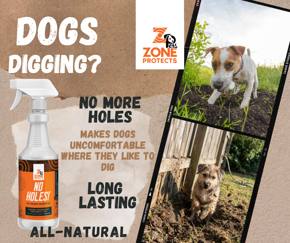 Chewing/Digging Prevention; Bad Dog Training Bundle Redirect