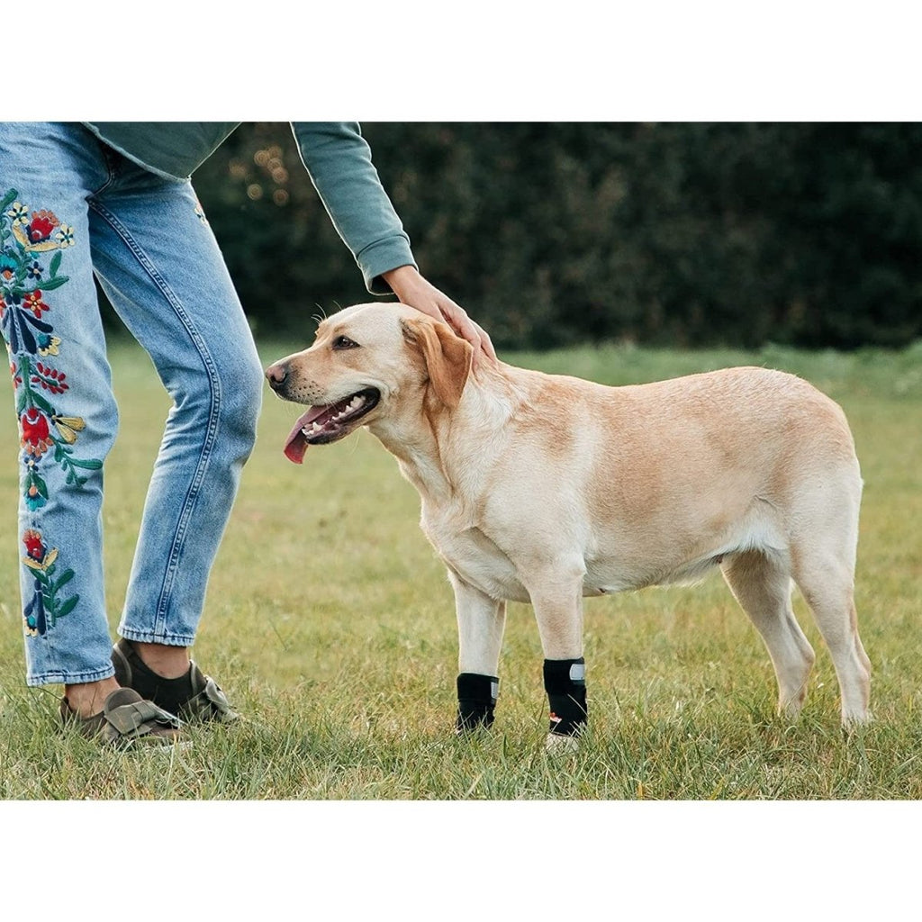 NeoAlly 3-in-1 Dog Front Leg Splint & Support Brace – Pair