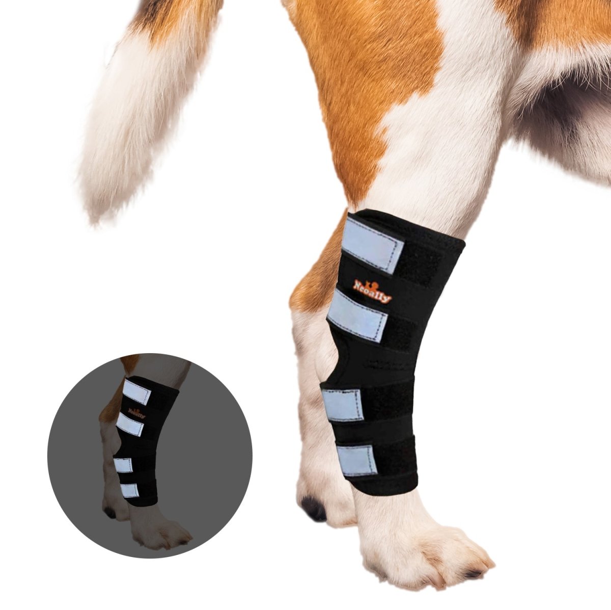 NeoAlly Dog Hock & Ankle Brace for Large Dogs – Long Version