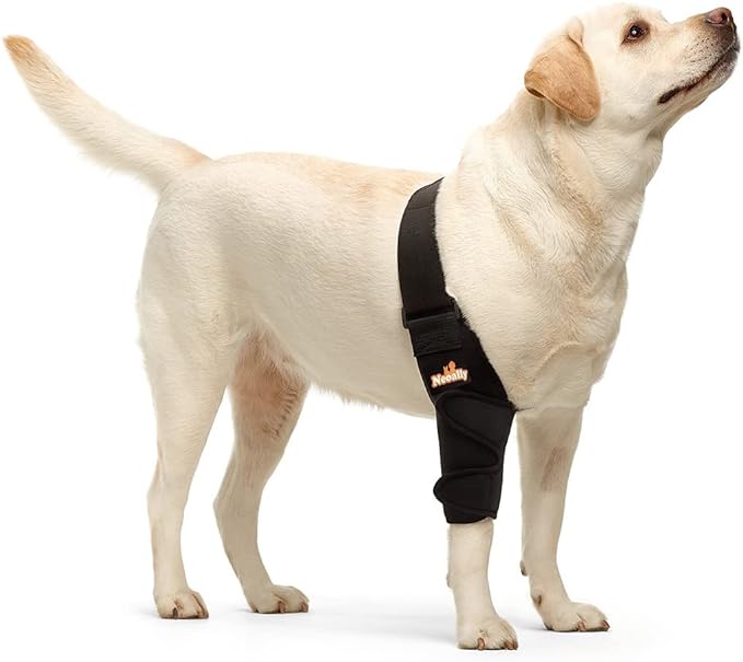 NeoAlly Dog Elbow & Shoulder Support Brace