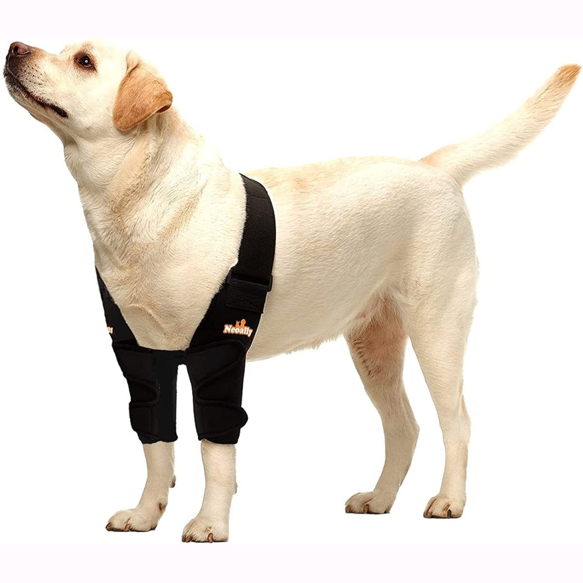 NeoAlly Dog Elbow & Shoulder Support Brace