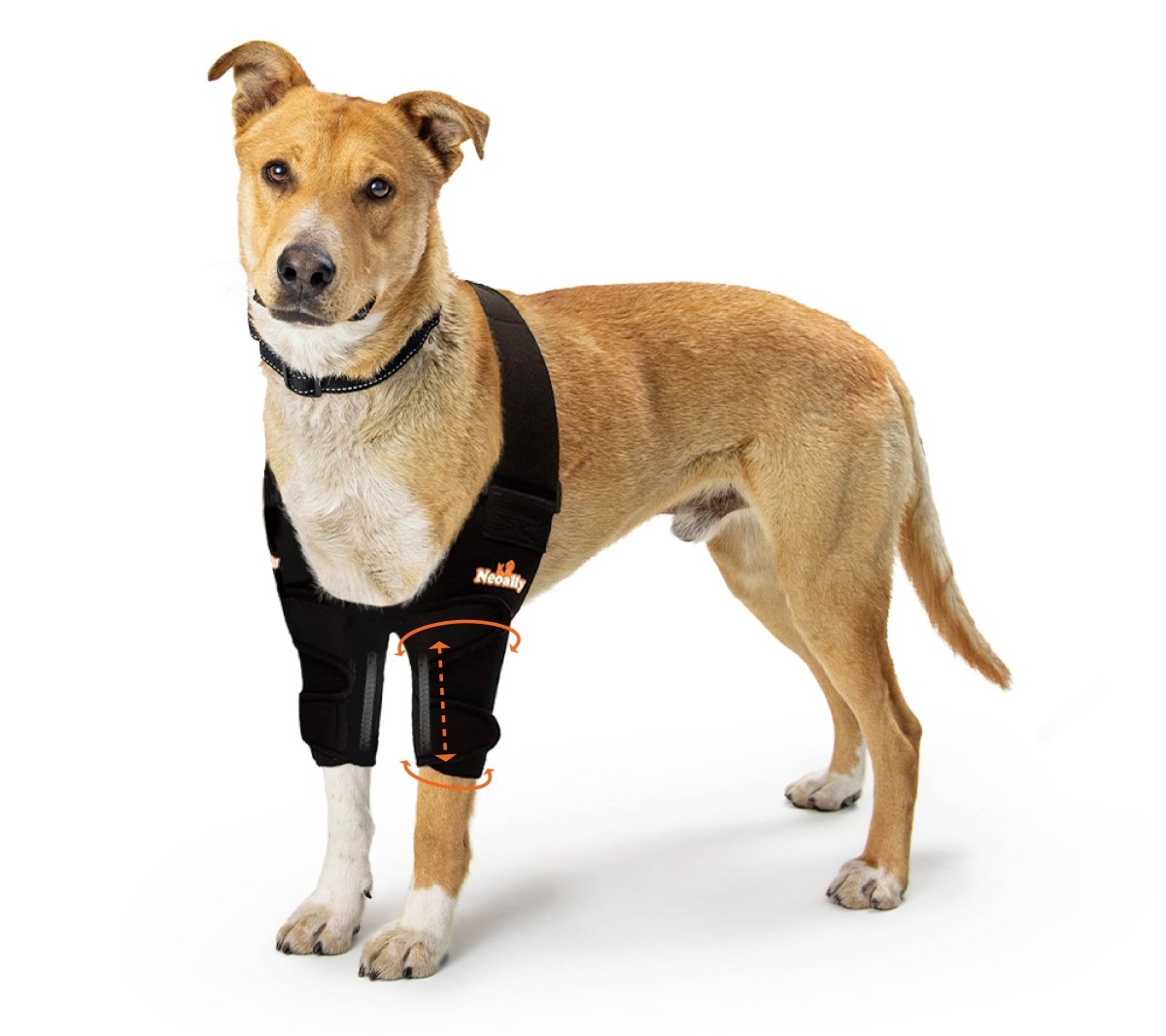 NeoAlly Dog Elbow & Shoulder Brace with Spring Support