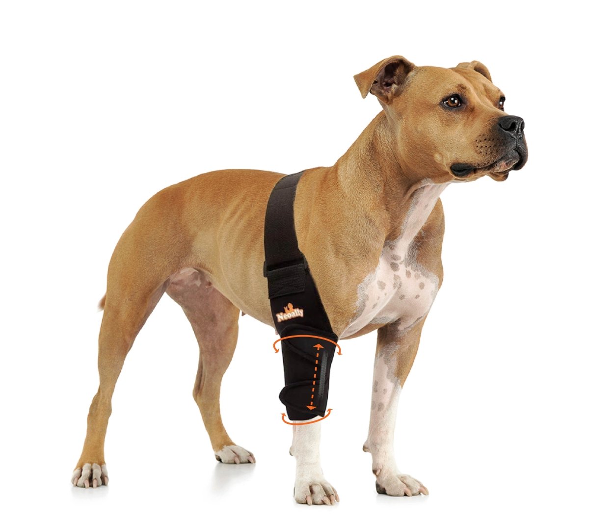 NeoAlly Dog Elbow & Shoulder Brace with Spring Support