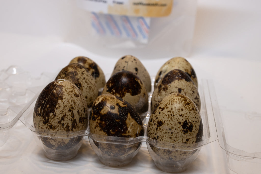 Freeze-Dried Raw Quail Eggs for Dogs & Cats: Whole Egg, Bulk Sizes