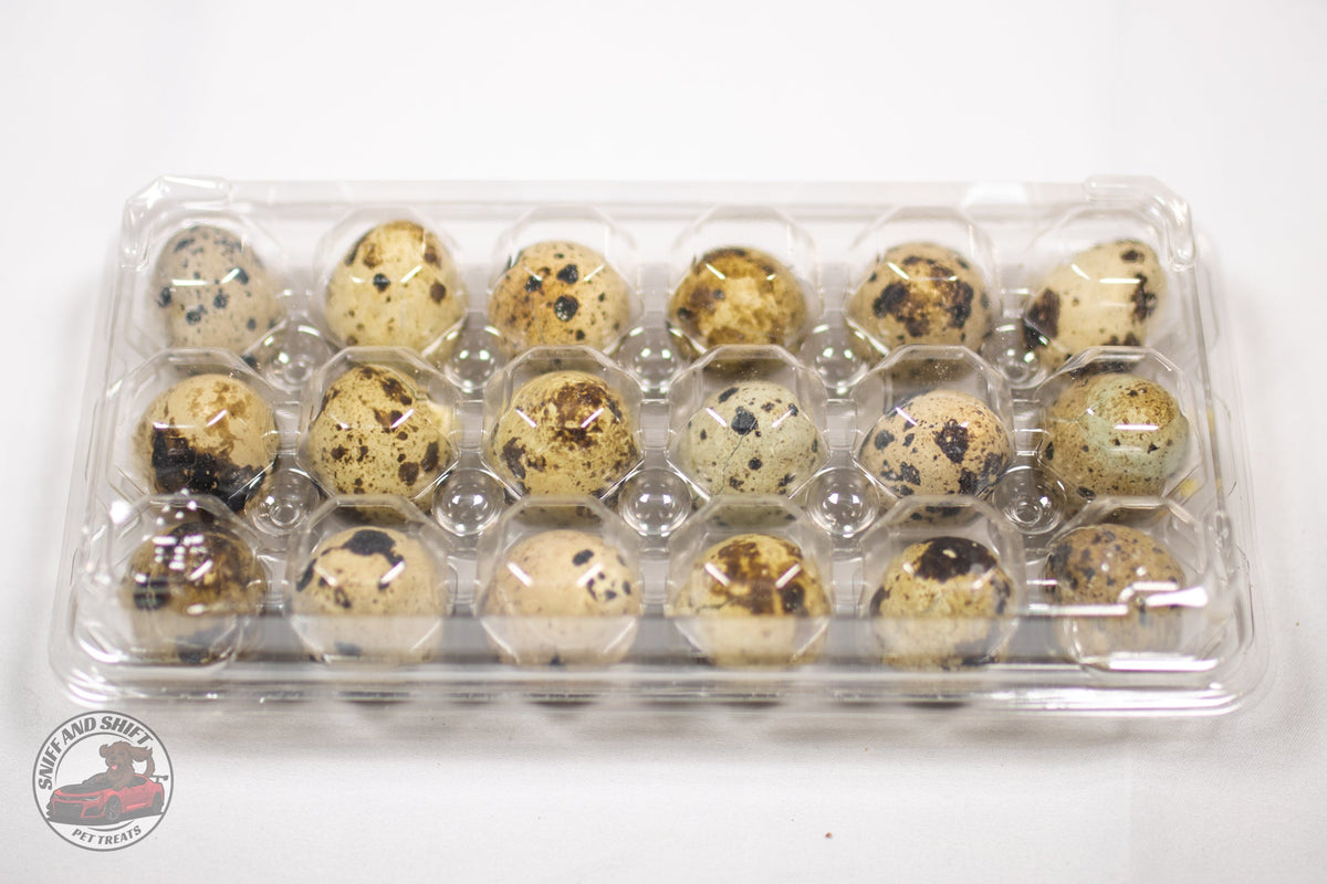 Freeze-Dried Raw Quail Eggs for Dogs & Cats: Whole Egg, Bulk Sizes
