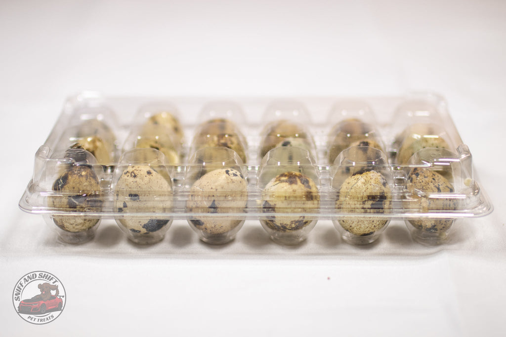 Freeze-Dried Raw Quail Eggs for Dogs & Cats: Whole Egg, Bulk Sizes