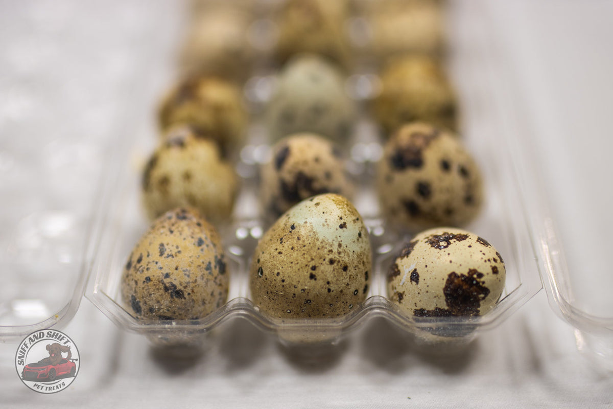 Freeze-Dried Raw Quail Eggs for Dogs & Cats: Whole Egg, Bulk Sizes